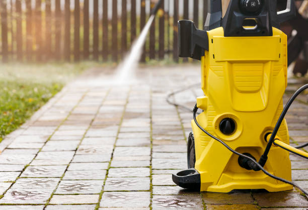 Best Graffiti Removal  in Wilton, IA